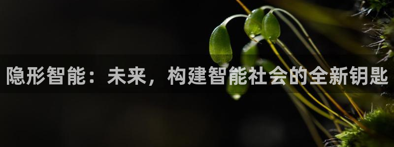 开丰娱乐平台地址在哪里：隐形智能：未来，构建智能社会的全新钥