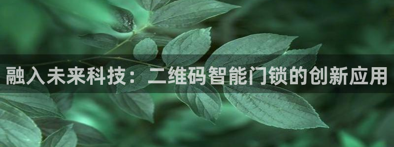 开丰娱乐官方app：融入未来科技：二维码智能门锁的创新应用