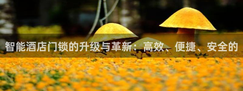 开丰娱乐与六七五一38：智能酒店门锁的升级与革新：高效、便捷