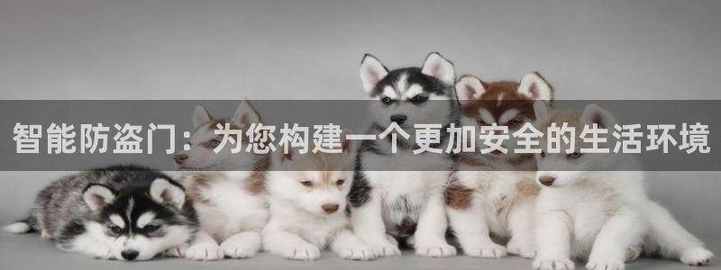 开丰娱乐2登录：智能防盗门：为您构建一个更加安全的生活环境