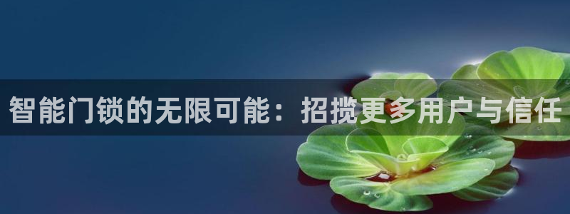 开丰娱乐注册登录：智能门锁的无限可能：招揽更多用户与信任