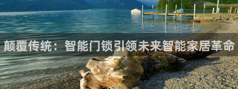 开丰娱乐主管：颠覆传统：智能门锁引领未来智能家居革命