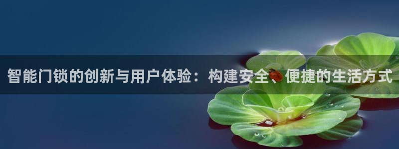 开丰娱乐网官网注册入口：智能门锁的创新与用户体验：构建安全、