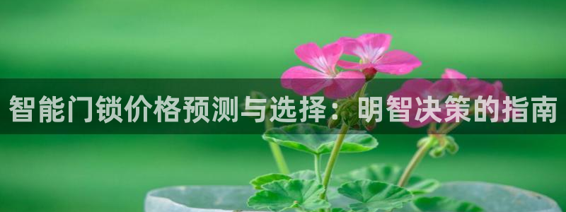 开丰娱乐体育平台：智能门锁价格预测与选择：明智决策的指南