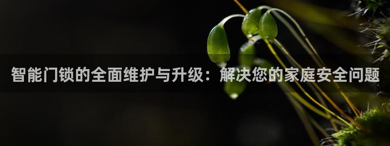 下载开丰娱乐：智能门锁的全面维护与升级：解决您的家庭安全问题