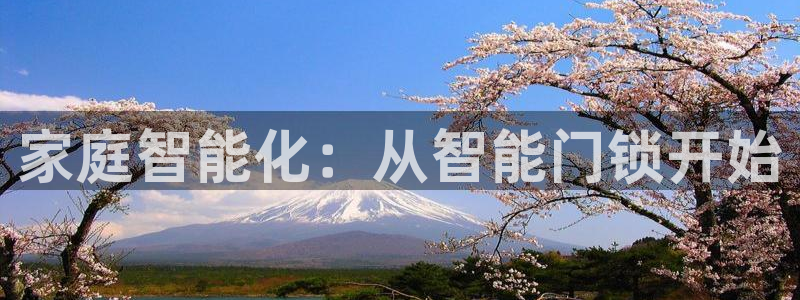 开丰娱乐官网电话：家庭智能化：从智能门锁开始