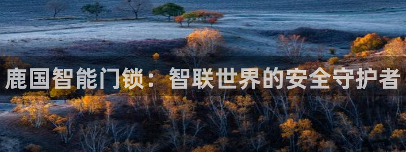 开丰娱乐体育平台：鹿国智能门锁：智联世界的安全守护者