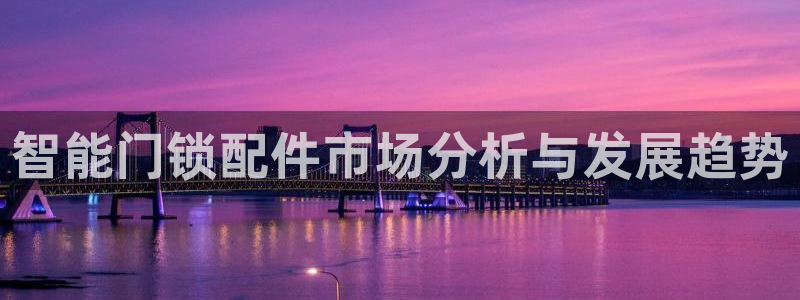 开丰娱乐前：智能门锁配件市场分析与发展趋势