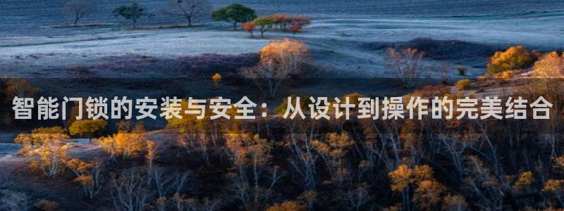 开丰娱乐日：智能门锁的安装与安全：从设计到操作的完美结合