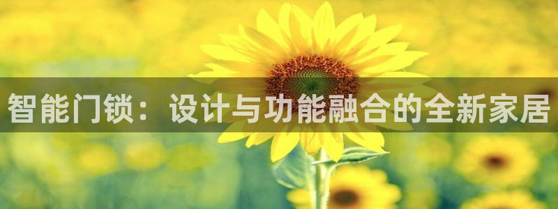 开丰娱乐开户：智能门锁：设计与功能融合的全新家居