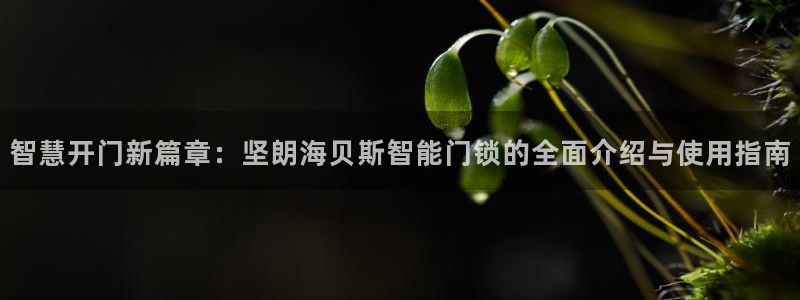 开丰娱乐月7O667：智慧开门新篇章：坚朗海贝斯智能门锁的全
