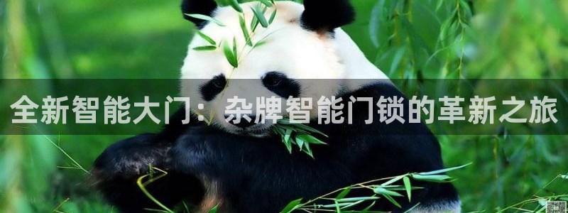 开丰娱乐平台地址电话：全新智能大门：杂牌智能门锁的革新之旅