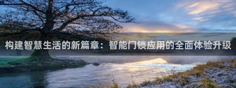 开丰娱乐地址：构建智慧生活的新篇章：智能门锁应用的全面体验升