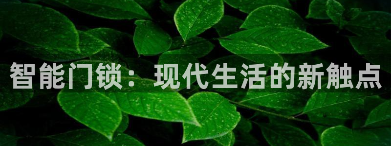 开丰娱乐手机app：智能门锁：现代生活的新触点