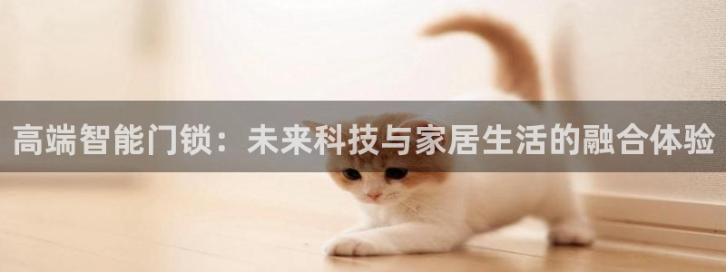 开丰娱乐2登录：高端智能门锁：未来科技与家居生活的融合体验