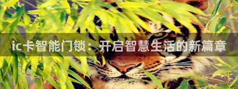 开丰娱乐月7O667：ic卡智能门锁：开启智慧生活的新篇章