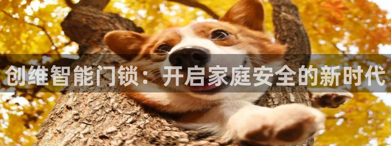 开丰娱乐官网登录网址：创维智能门锁：开启家庭安全的新时代