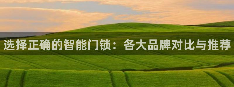开丰娱乐右7O667：选择正确的智能门锁：各大品牌对比与推荐