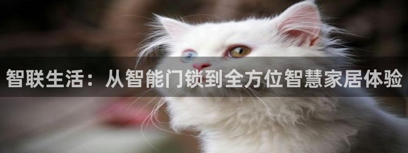 开丰娱乐主管：智联生活：从智能门锁到全方位智慧家居体验