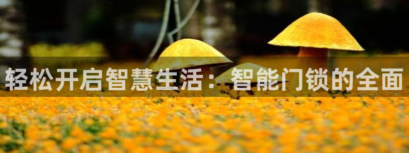 开丰娱乐登录平台：轻松开启智慧生活：智能门锁的全面