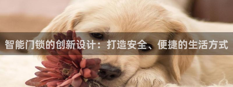 开丰娱乐登录地址入口：智能门锁的创新设计：打造安全、便捷的生