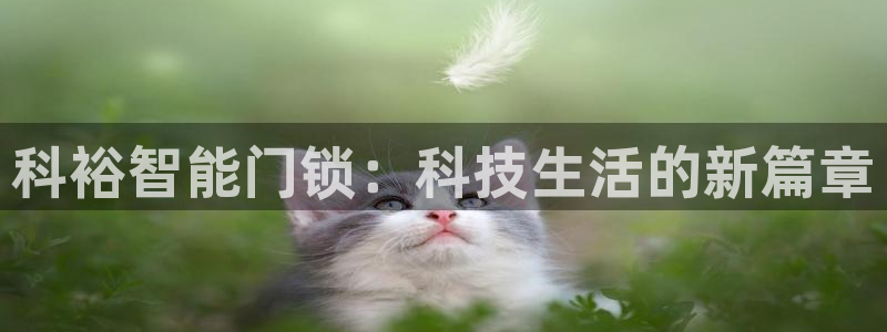 开丰娱乐右7O667：科裕智能门锁：科技生活的新篇章