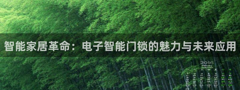 开丰娱乐靠谱吗：智能家居革命：电子智能门锁的魅力与未来应用