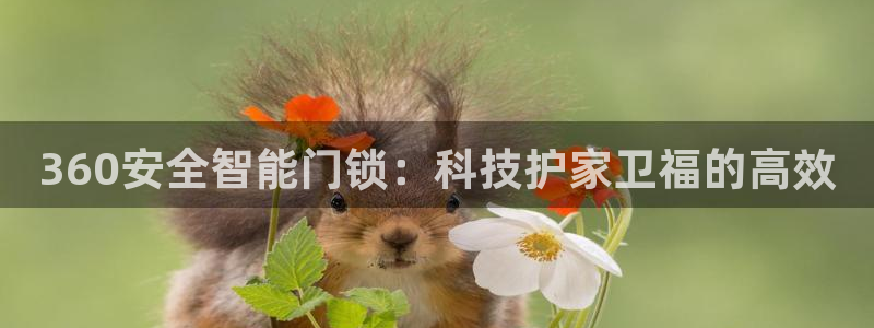 开丰娱乐官网登录网址：360安全智能门锁：科技护家卫福的高效