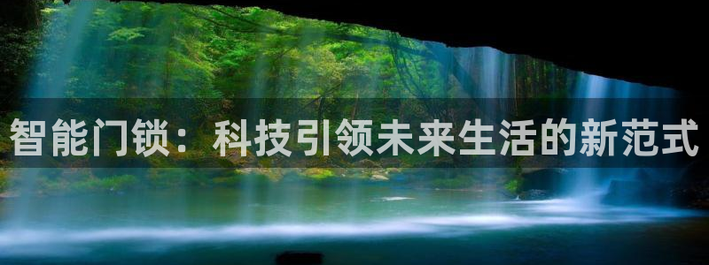 圩丰刚开的娱乐场所：智能门锁：科技引领未来生活的新范式