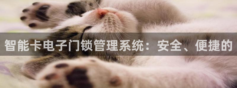 开丰娱乐上：智能卡电子门锁管理系统：安全、便捷的