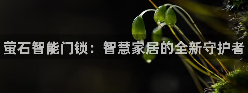 开丰娱乐怎么开转点：萤石智能门锁：智慧家居的全新守护者