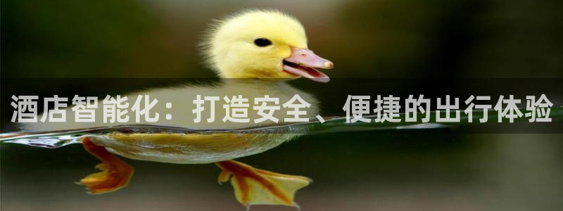 开丰娱乐网官网注册入口：酒店智能化：打造安全、便捷的出行体验