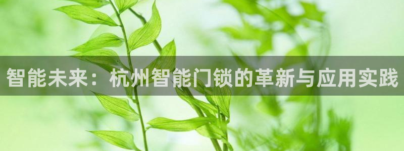 开丰娱乐月：智能未来：杭州智能门锁的革新与应用实践