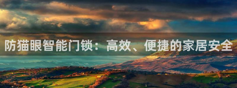 开丰娱乐登入地址查询：防猫眼智能门锁：高效、便捷的家居安全
