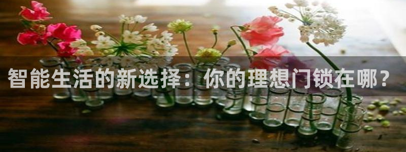 开丰娱乐右7O667：智能生活的新选择：你的理想门锁在哪？