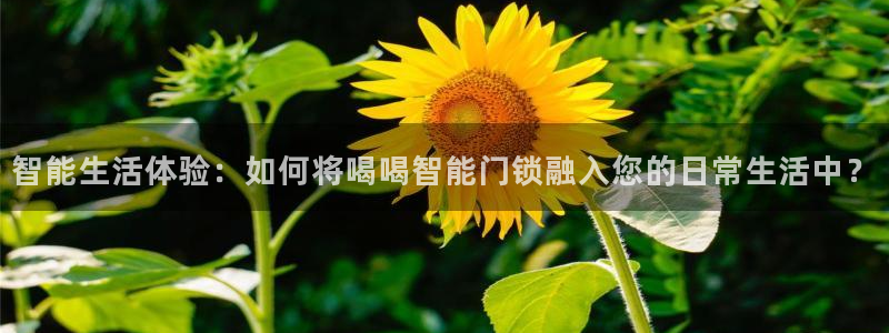 开丰娱乐平台注册地址：智能生活体验：如何将喝喝智能门锁融入您