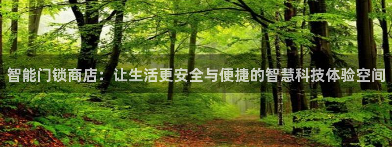 开丰娱乐登录地址入口：智能门锁商店：让生活更安全与便捷的智慧