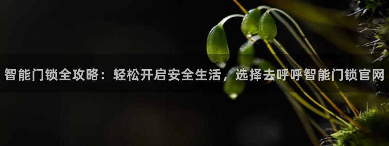 开丰娱乐登入地址在哪儿：智能门锁全攻略：轻松开启安全生活，选