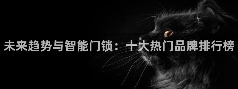 开丰娱乐网站：未来趋势与智能门锁：十大热门品牌排行榜