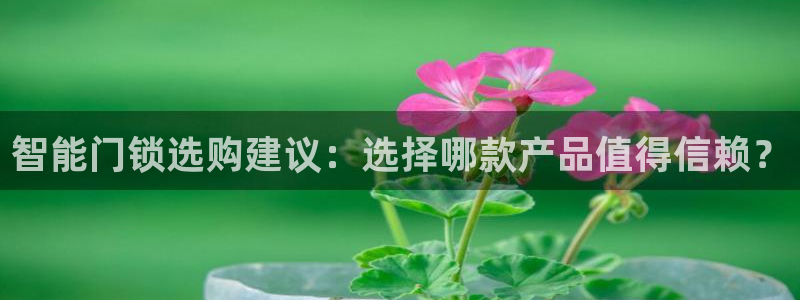 开丰娱乐后：智能门锁选购建议：选择哪款产品值得信赖？