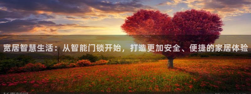 开丰娱乐日：宽居智慧生活：从智能门锁开始，打造更加安全、便捷