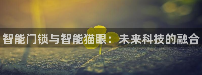 开丰娱乐靠谱吗：智能门锁与智能猫眼：未来科技的融合