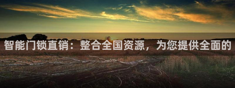 开丰娱乐登入地址查询：智能门锁直销：整合全国资源，为您提供全