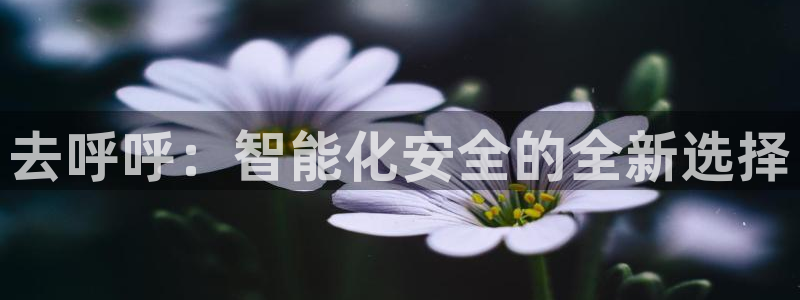 开丰娱乐登录官方网站：去呼呼：智能化安全的全新选择
