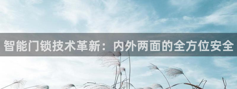 开丰娱乐注册资金多少：智能门锁技术革新：内外两面的全方位安全
