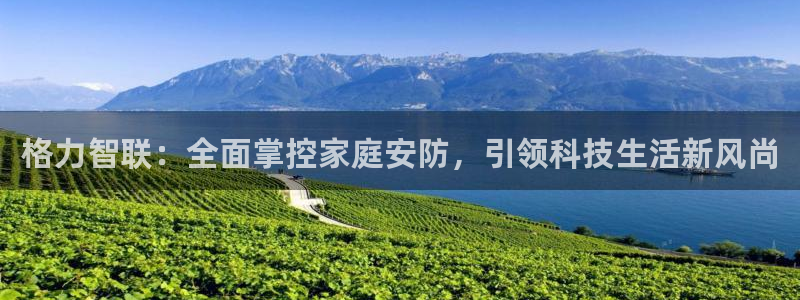 开丰娱乐最新活动：格力智联：全面掌控家庭安防，引领科技生活新