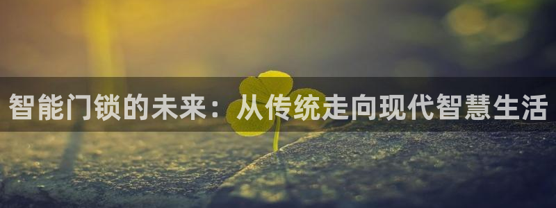 开丰娱乐平台地址：智能门锁的未来：从传统走向现代智慧生活