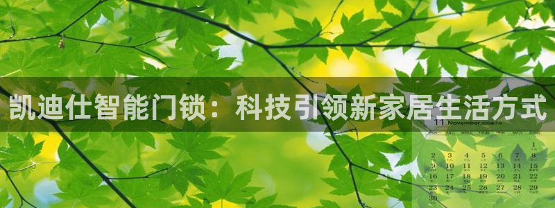 开丰娱乐平台地址在哪里