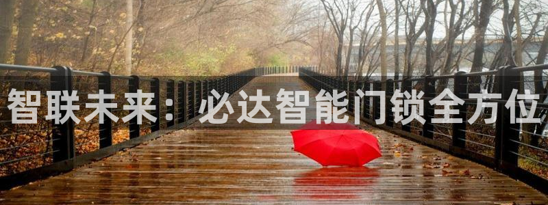 开丰娱乐体育平台：智联未来：必达智能门锁全方位