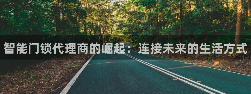 开丰娱乐平台注册：智能门锁代理商的崛起：连接未来的生活方式